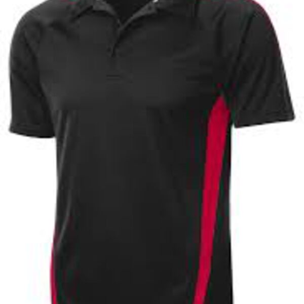 rh ST685 PosiCharge™ Micro-Mesh Colorblock Polo Thumbnail