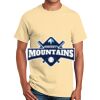 Ultra Cotton™ 100% Cotton T Shirt Thumbnail