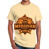 Ultra Cotton™ 100% Cotton T Shirt Thumbnail