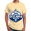 Ultra Cotton™ 100% Cotton T Shirt Thumbnail