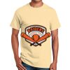 Ultra Cotton™ 100% Cotton T Shirt Thumbnail
