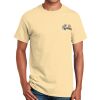 Ultra Cotton™ 100% Cotton T Shirt Thumbnail
