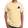 Ultra Cotton™ 100% Cotton T Shirt Thumbnail