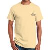 Ultra Cotton™ 100% Cotton T Shirt Thumbnail